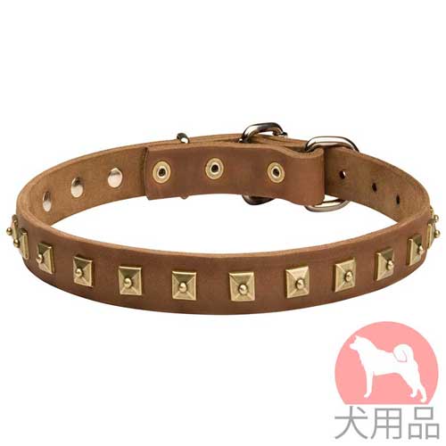 ドット付きスタッズの小型犬　首輪(25mm,黄銅)