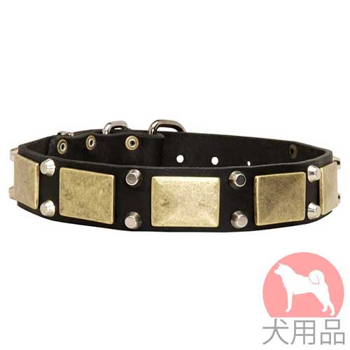 プレート付き犬　首輪(黄銅＋ニッケル)