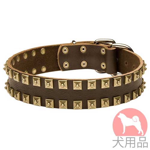 ドットスタッズ付きヌメ革　首輪(40mm,黄銅)