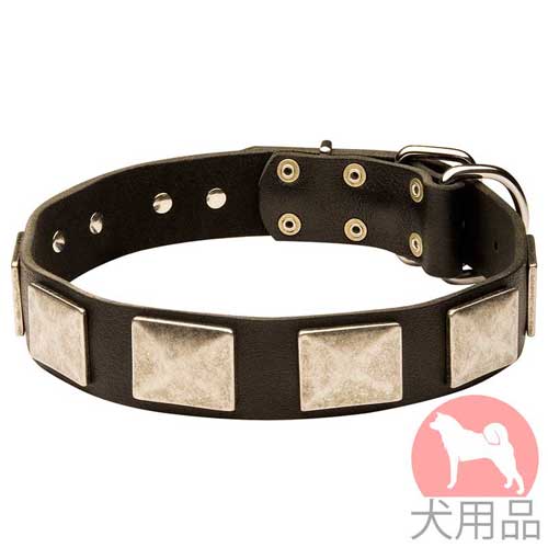 プレート付き大型犬　首輪(銀色メッキ黄銅)