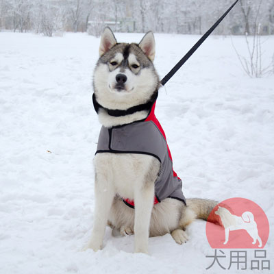 犬　防寒コート　ナイロン製　フェルトの裏地