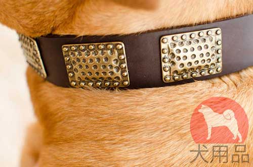 革首輪│ボルドー・マスティフ用黄銅プレート首輪