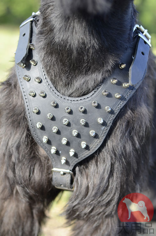 ジャイアントシュナウザー　ハーネス