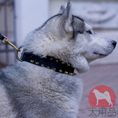 ハスキー　犬用品　大型犬用おしゃれ首輪　高質なレザー製