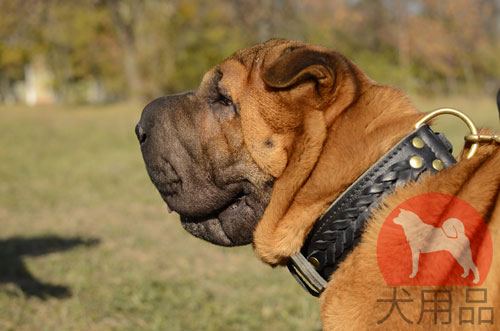 大型犬向けの二重革首輪