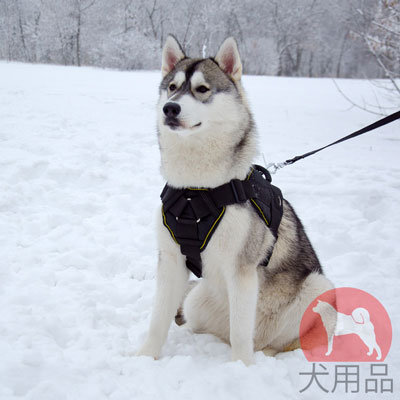シベリアンハスキー　ハーネス　そり用　ナイロン製