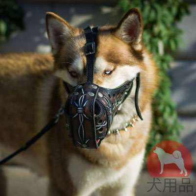 犬用おしゃれなマズル　攻撃訓練や日常散歩にぴったり！