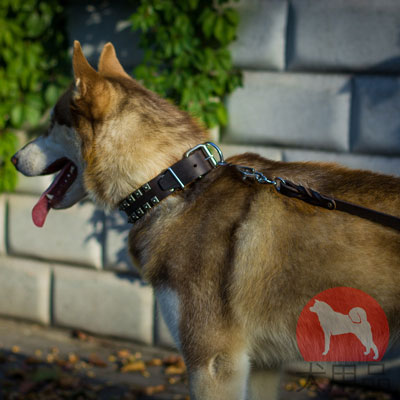 ハスキー　首輪　レザー製　便利なハンドル付き