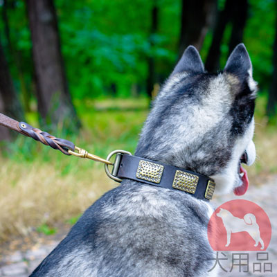 シベリアンハスキーのような大型犬にぴったりあう首輪　かっこいいデザイン