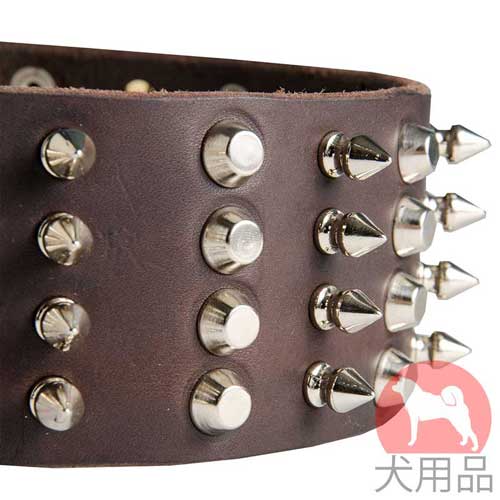 幅広首輪(50mm、ミックス)