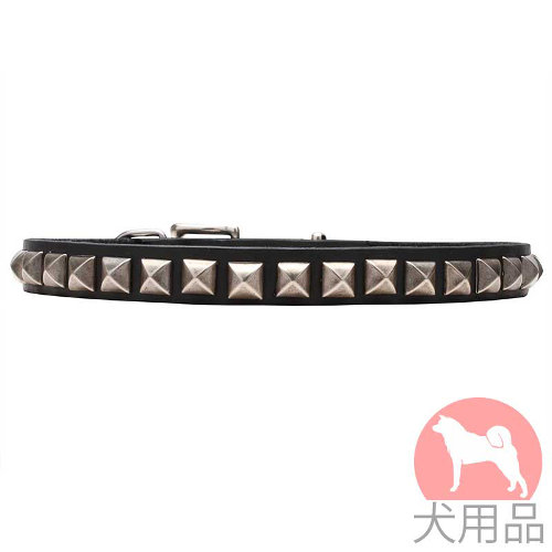 スタッズ　首輪(ニッケル、20mm)