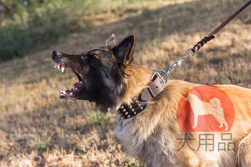 タービュレン　首輪(幅広)