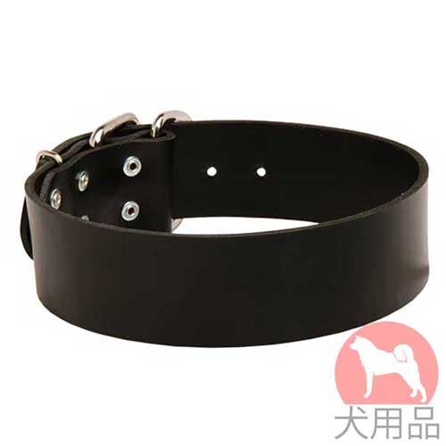 幅広首輪(50mm)　大型犬にピッタリ！