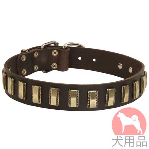 プレート付き犬　首輪(黄銅)