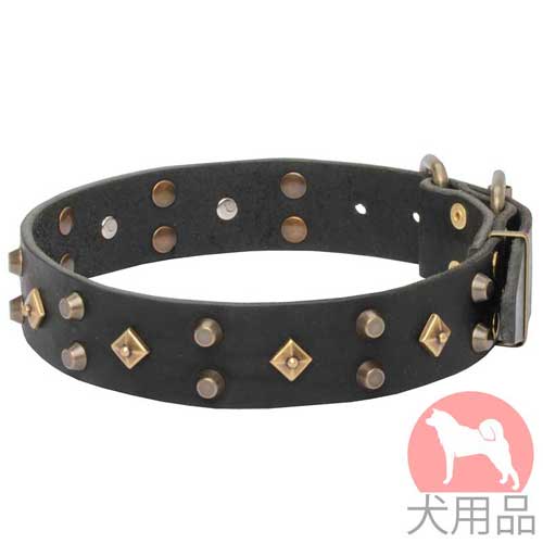 ミックススタッズ付き犬　首輪(40mm)