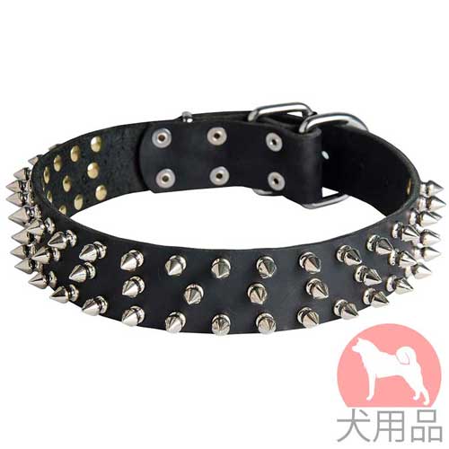 スパイク付大型犬用首輪(40mm、ニッケル)