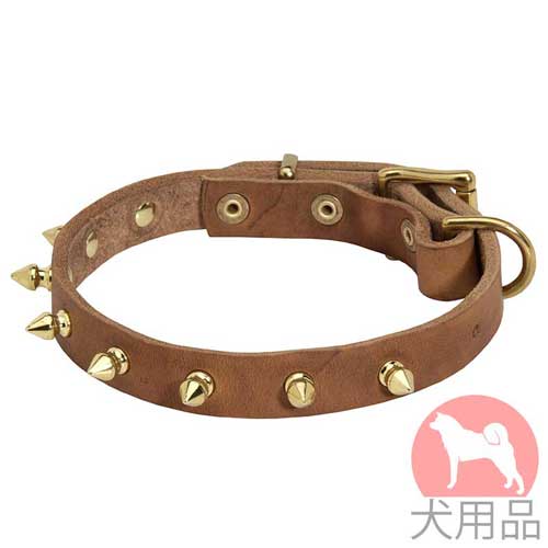 スパイク付ヌメ革首輪(19mm、黄銅)