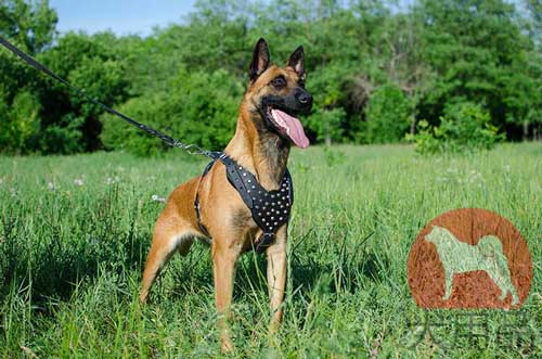 犬用ハーネス　マリノア