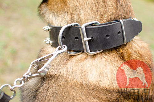 犬　首輪　海外
