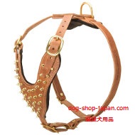 おしゃれなヌメ革　ハーネス(黄銅スパイク付)