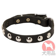 丸型スタッズ付犬 首輪(19mm,ニッケル) 丸型スタッズ付犬 首輪(19mm,ニッケル)