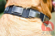 犬用首輪│ボルドー・マスティフ用プレート付き首輪 犬用首輪│ボルドー・マスティフ用プレート付き首輪