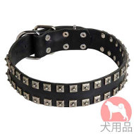 ドットス付きタッズのおしゃれ犬 首輪(40mm、ニッケル) ドットス付きタッズのおしゃれ犬 首輪(40mm、ニッケル)