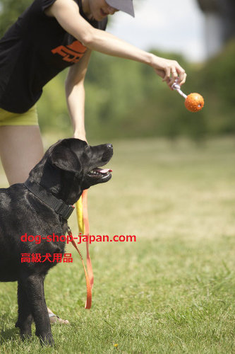 大型犬　おもちゃボール