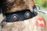 大型犬 首輪 おしゃれ 大型犬 首輪 おしゃれ