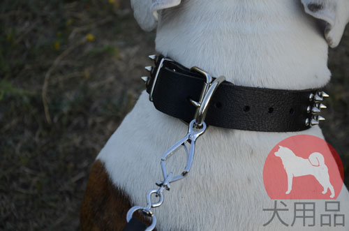 大型犬　首輪　かっこいい革製