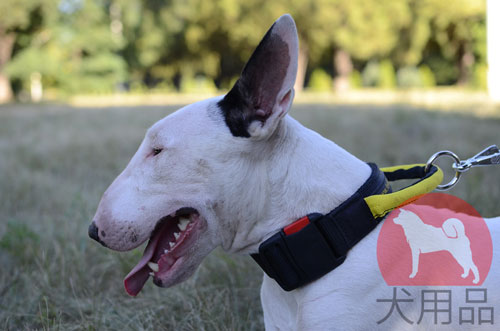 大型犬　首輪　高級