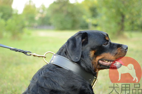 大型犬　首輪　可愛い