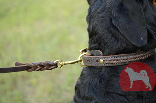 大型犬　首輪　おしゃれ