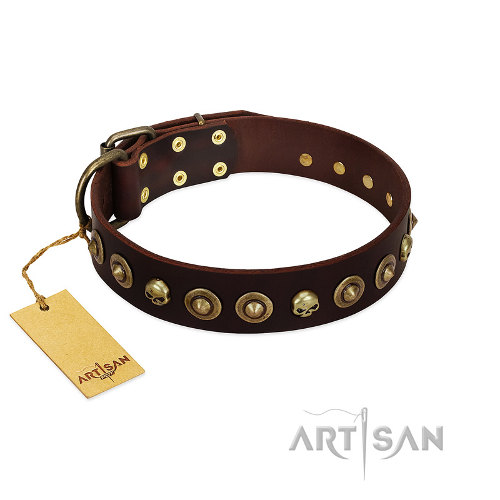 Fdt Artisan ナチュラルレザー首輪 可愛いスタイル C459 1113 Artisan Collar 犬用品 犬グッズ 犬訓練用具 犬用品通販 犬用品 犬グッズ 犬訓練用具 犬用品通販