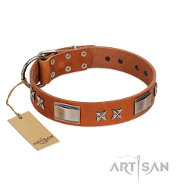 FDT ARTISAN かっこいいスタイルの本革製首輪 FDT ARTISAN かっこいいスタイルの本革製首輪