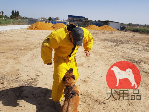 犬訓練士　トレーニングスーツ