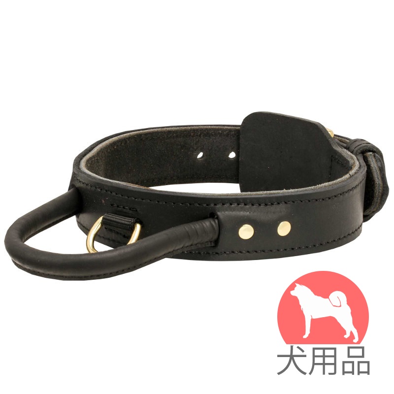 革の首輪|頑丈なダブルレザーカラー - ¥10,780