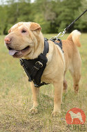 シャーペイ用本革製ハーネス　