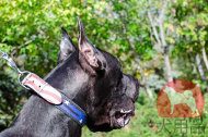 超大型犬 首輪(グラフィック) 超大型犬 首輪(グラフィック)