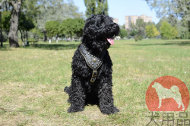 大型犬用ハーネス ナチュラルレザー 大型犬用ハーネス ナチュラルレザー