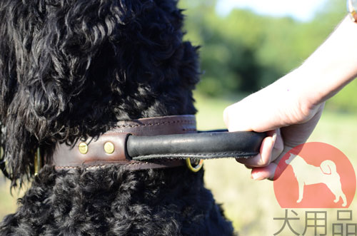 犬　首輪　持ち手