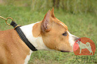 大型犬用革チョーカー