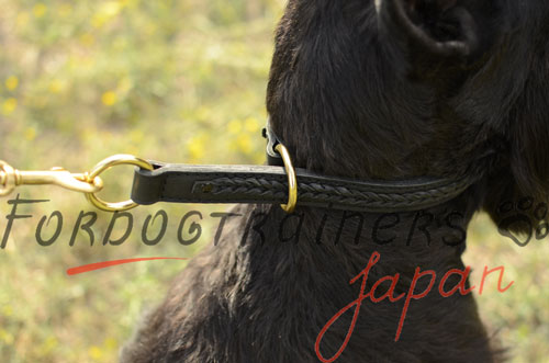 大型犬　丸ひもチョーク(6mm)