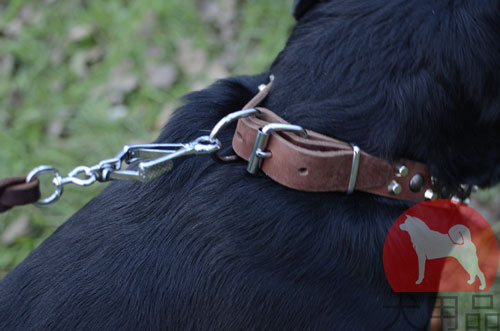 大型犬　首輪　ハンドクラフト