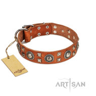 FDT ARTISAN ナチュラルレザーカラー 首輪 FDT ARTISAN ナチュラルレザーカラー 首輪