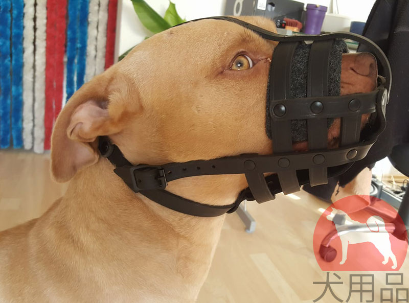 ファンタジーワールド 犬用口輪 Dnm 08 No 8 ナイロンマズル 毎日がバーゲンセール ナイロンマズル