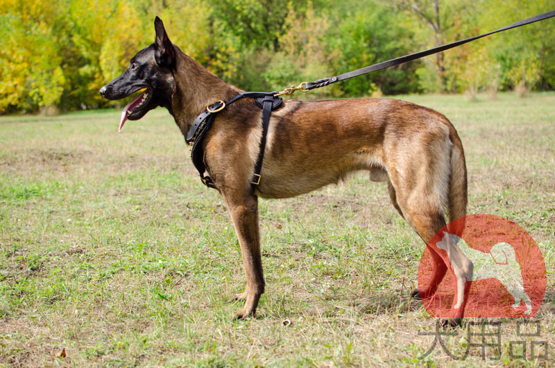 かっこいい大型犬用ハーネス 鋲スタッズ 14 2