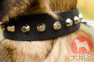 大型犬向けの首輪(ピラミッド) 大型犬向けの首輪(ピラミッド)