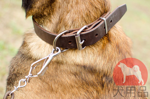 犬 首輪　幅広