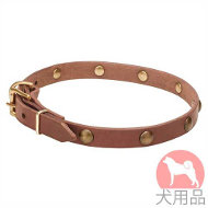 丸型スタッズ付犬 首輪(黄銅、20mm) 丸型スタッズ付犬 首輪(黄銅、20mm)
